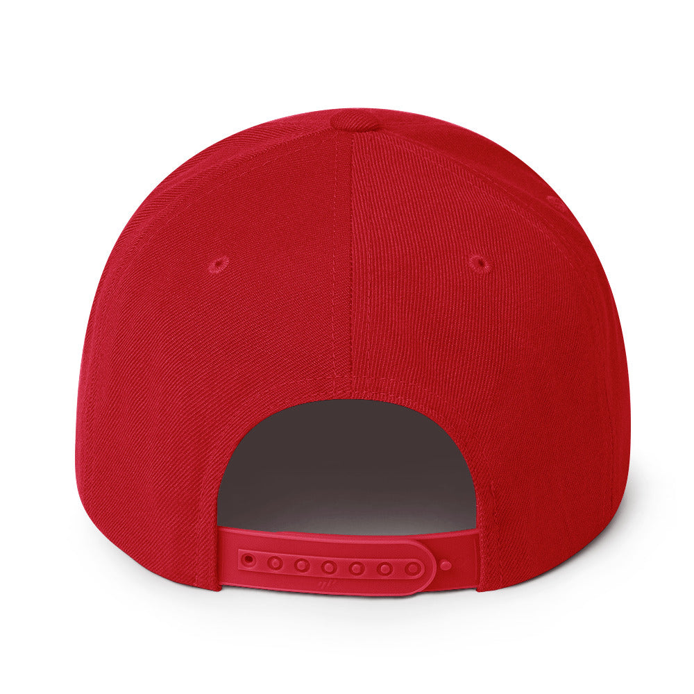 BB6 Premium Snapback Hat